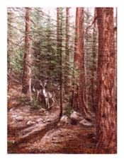 Painting of Deer in the Forest